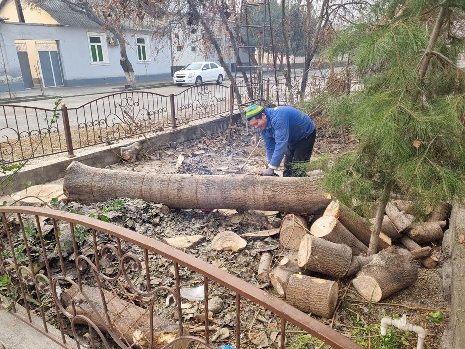 Мотопила хизмати...