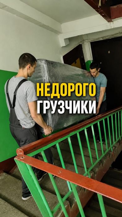 Услуги грузчики 3000