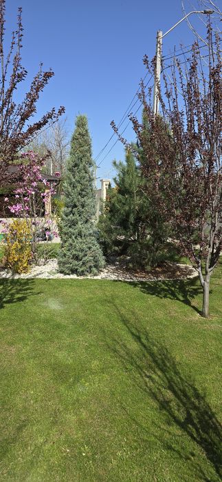 Tuns iarba/gazon, Intretinere spatii verzi, Sistem de irigatii