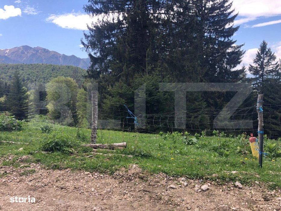 De vanzare, teren intravilan 5.500mp, Predeal