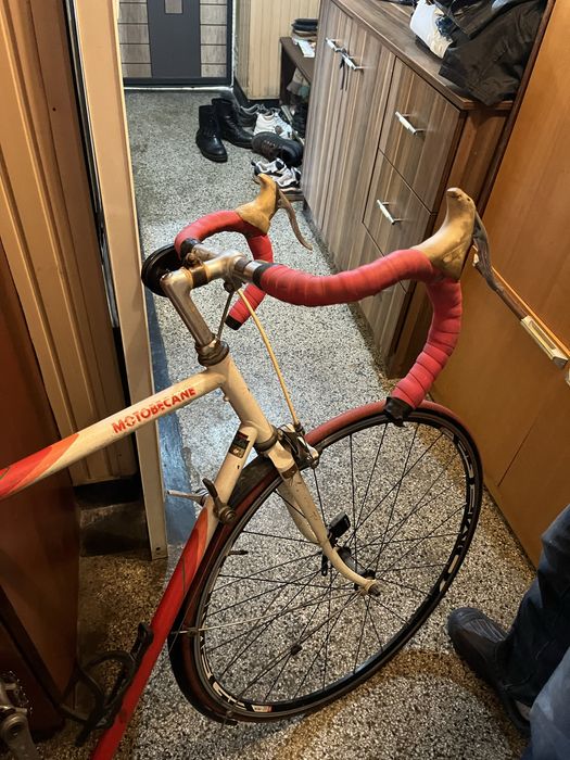 Френски бегач в добро състояние