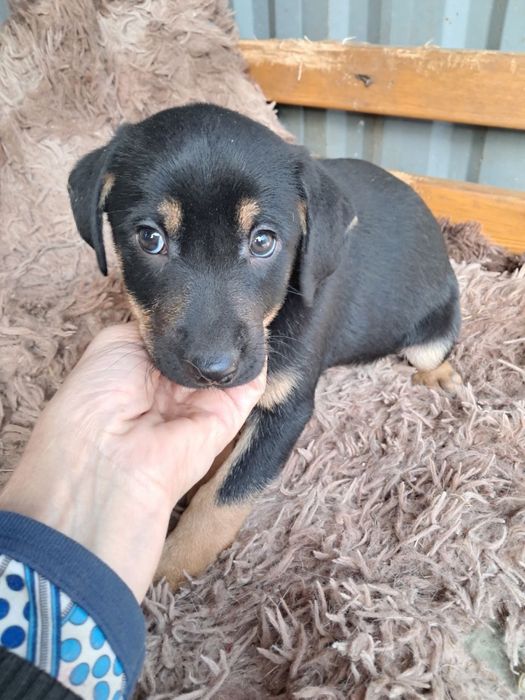 Малыши ищут семьи!