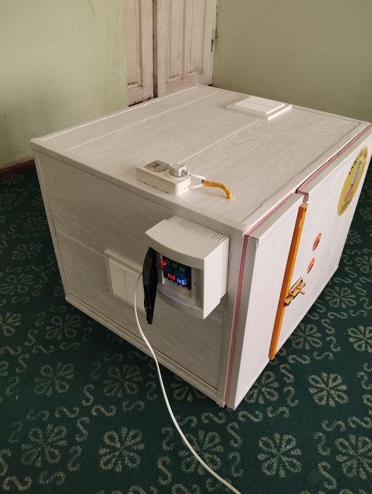 Инкватор сотилади 172талик