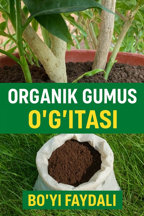 Натурал Гумус уг’ити