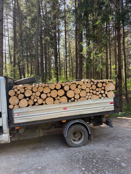 Vând lemn de foc fag