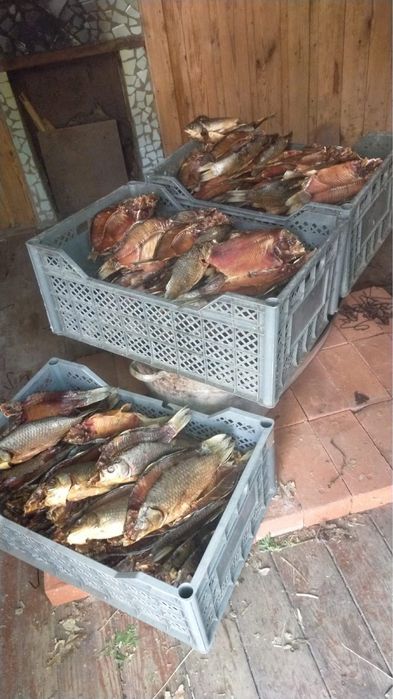 Карась рыба холодное копчение