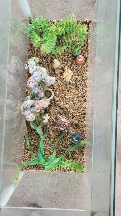 аквариум для рыбы