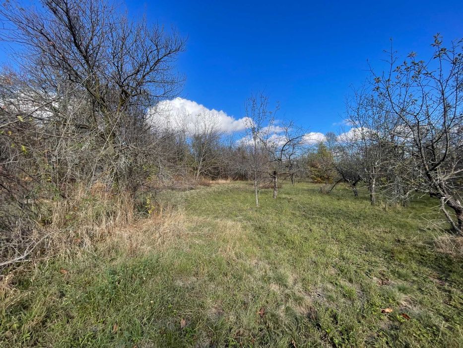 Продава се Парцел в Габрово, Център - 2000 кв.м за 6 €/кв.м - Снимка #1