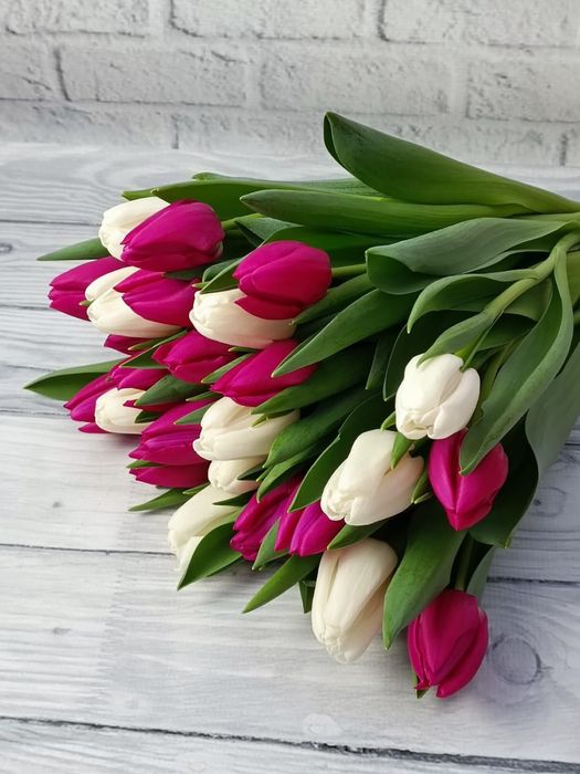 Оптом тюльпаны Беларусь