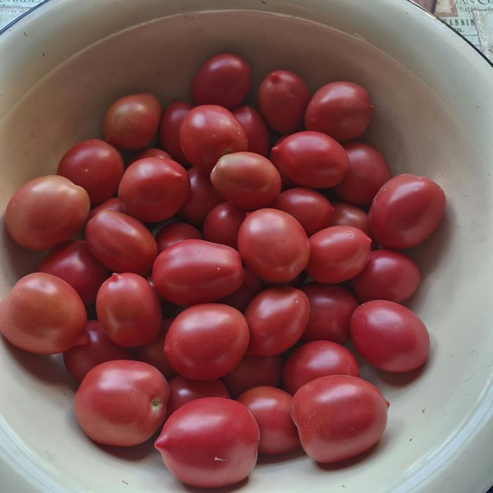 Продам помидоры с дачи.
