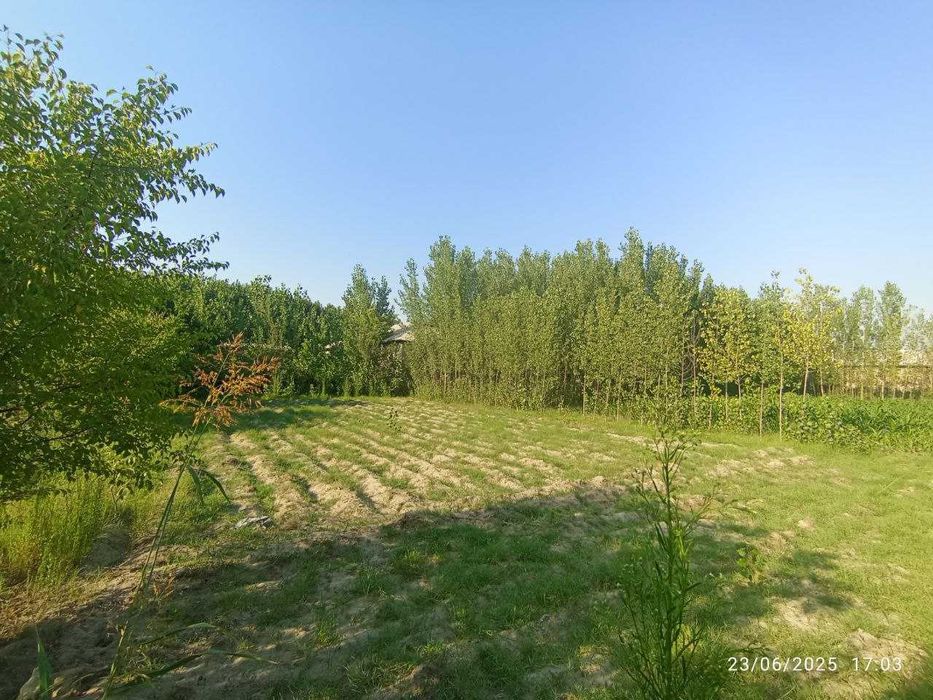 Arzonga shuda yaxshi katta yol yaqinidan qishloqdan yer