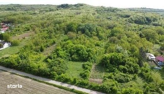 Teren intravilan Balteni, cota parte 1/4 ; ID: R3155870