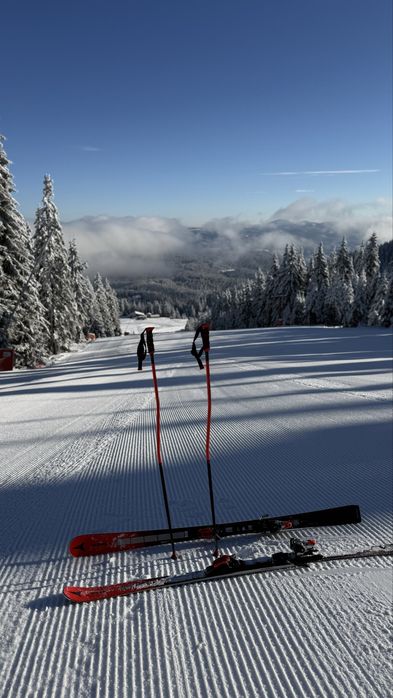 Atomic Redster S9-165см