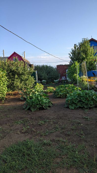 Продается дача возле села Кожохово