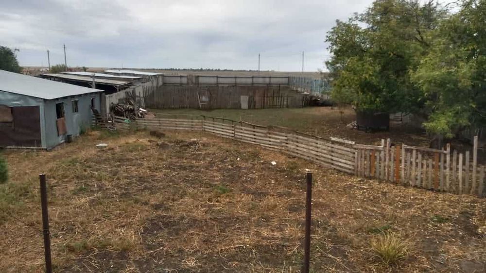 Продам фазенду в поселке Сергеевка