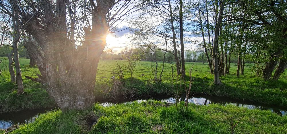 Teren superb la munte, suprafata 3000m/14euro mp