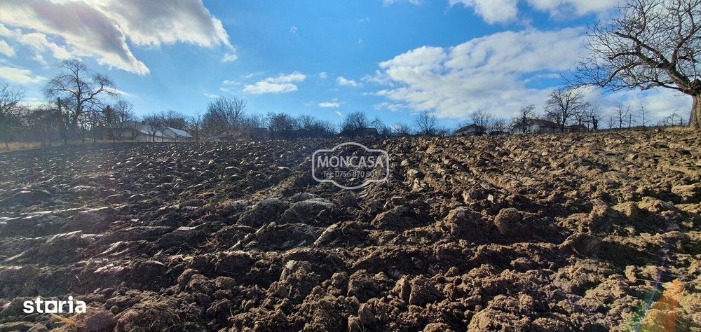 Teren intravilan intre case, M-rea Doamnei, S- 1300 mp