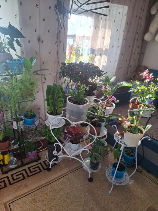 Продам полки для цветов