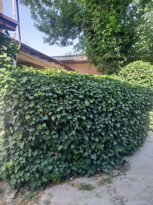 Продаётся дом. В центре города