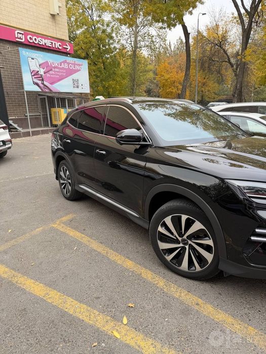 Byd champion 605tali