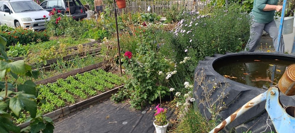 Продам дачный участок с домиком