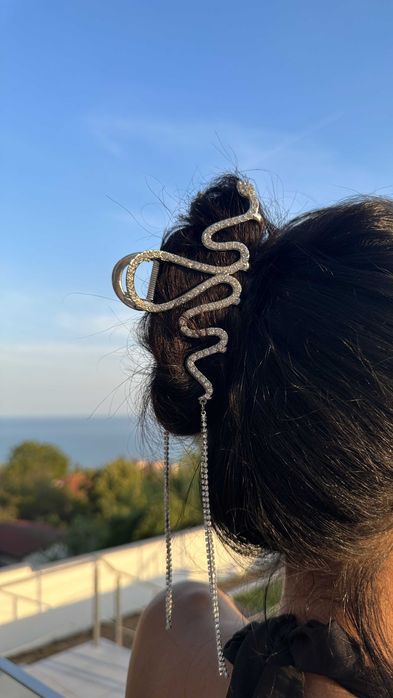 Шноли бижу за вашия повод