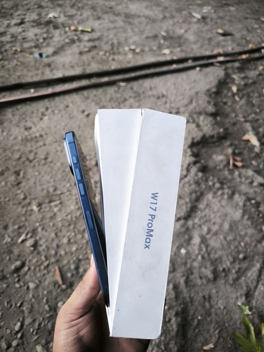 iPhone 17 max paddelka w 17 max