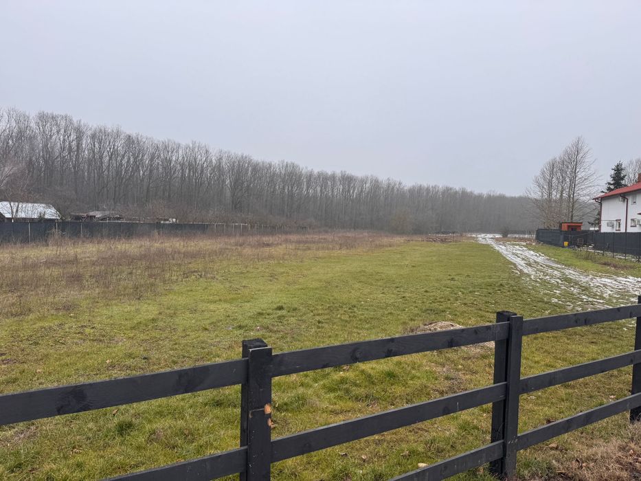 Ciolpani: teren intravilan 500 mp intre padure si DN - zona de case