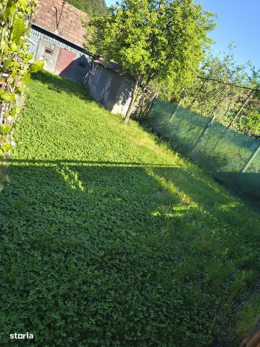Casă de vânzare. Liniște, natură, confort, la doar ~20 minute de Tg MS