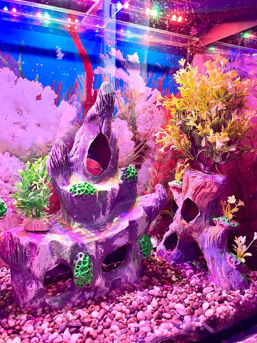 Продается Аквариум