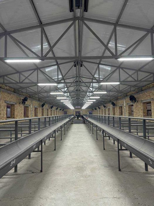 Продаётся Ферма 40 Соток Здания 1790 Зангиота Буз Сув Ор.Кафе Ором