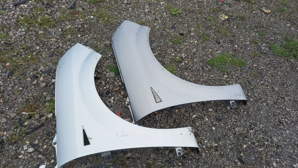 Десен Калник Рено Сценик 2