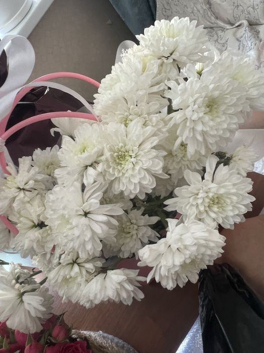 Цветы продам срочно