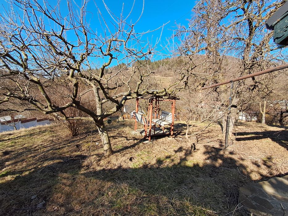 Ingrijire spații verzi, toaletare arbori, tundere gazon, Piatra Neamț