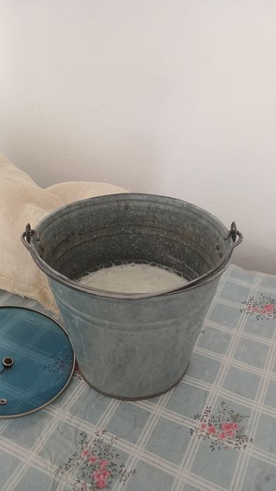 Бұзаулы сиыр сатылады түркістан