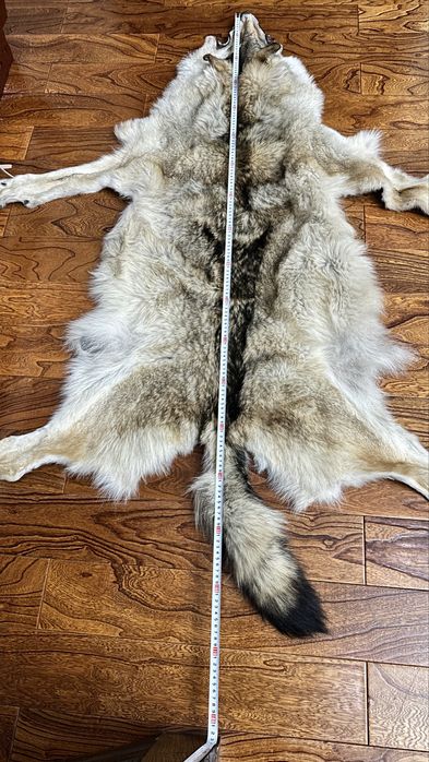 Волк арлан мех натуральный