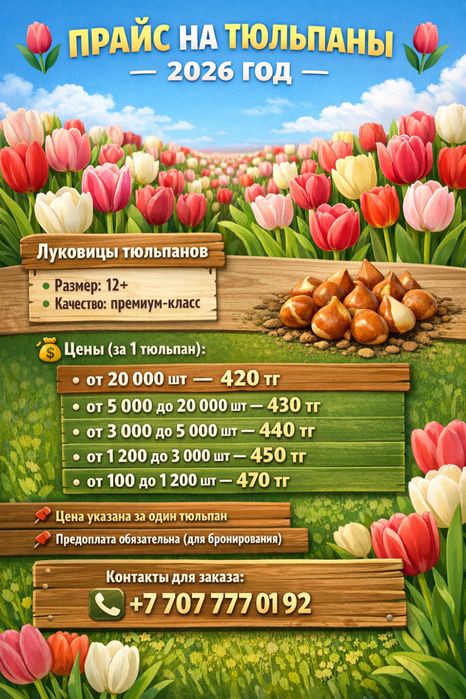 Тюльпаны премимум класса на 8 марта!