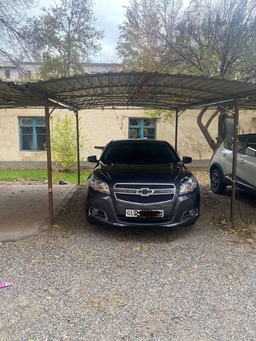 Mowina 2013 yil 1 pazitsiya mexanika kraska toza