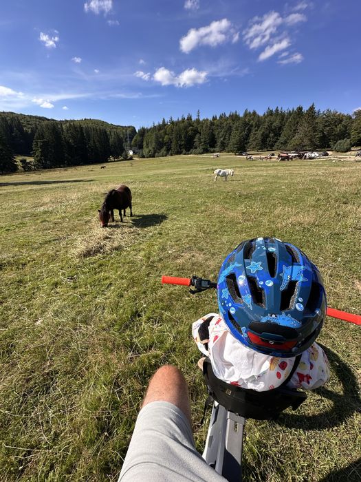 Scaun bicicleta pentru copii