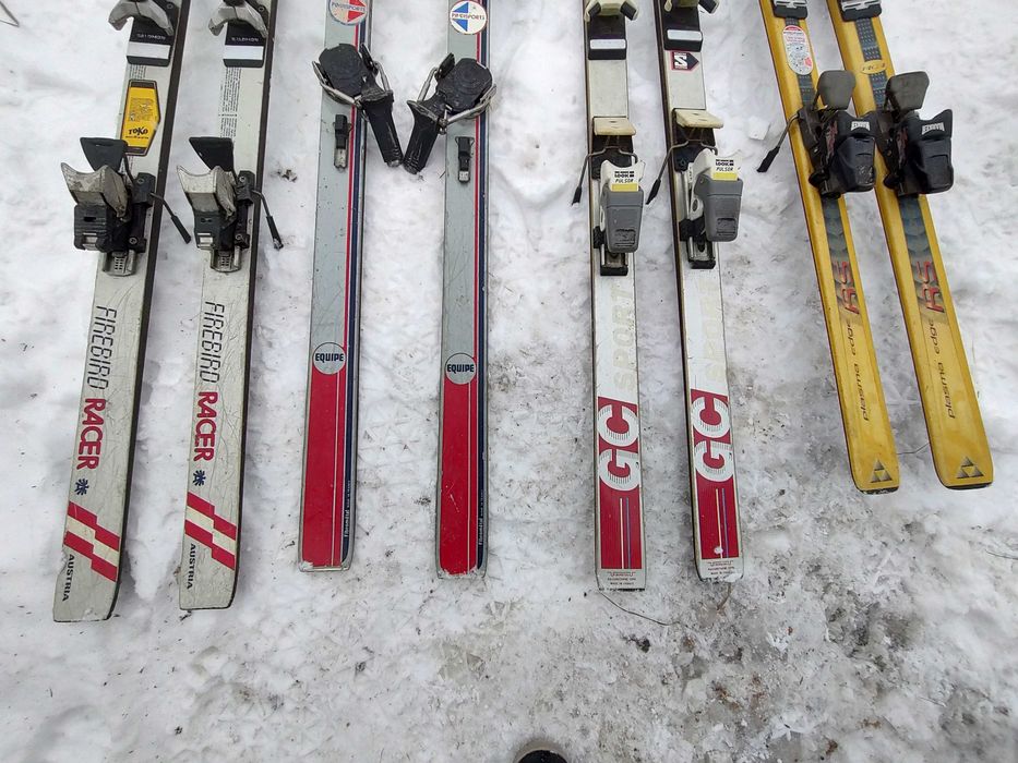 Schiuri Fischer,Rossignol,Dynastar,Blizzard
