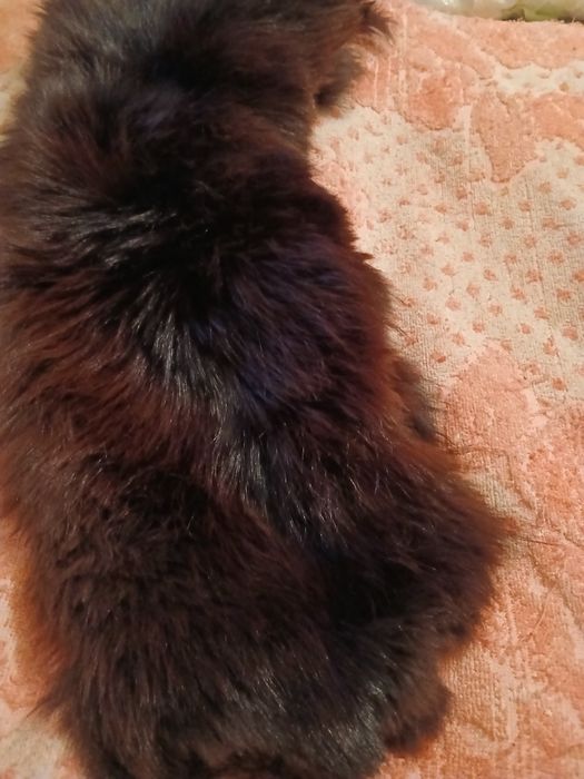 Шапка и воротник мужская .