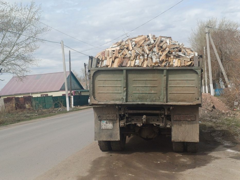 Есть рублейный береза, сосна
