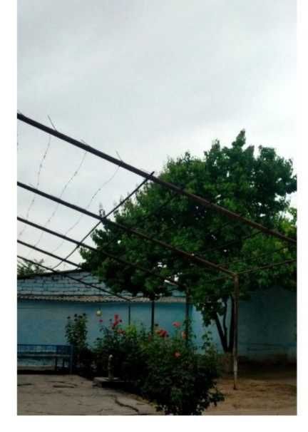 Hovli sotiladi tez fursatda!!!