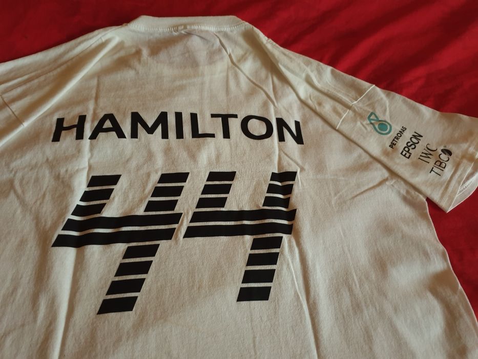 Tricou de barbati  -  100  lei.