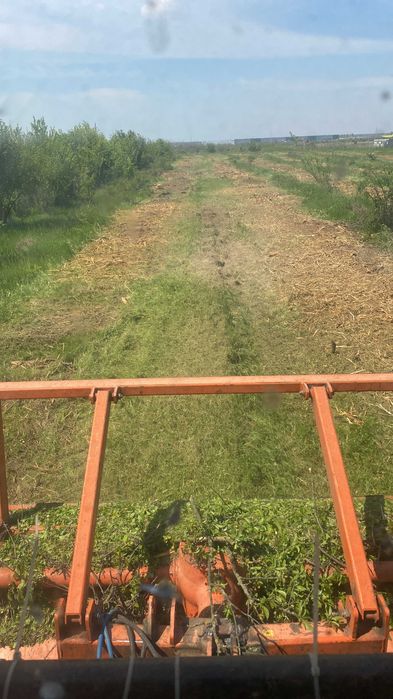 Curatare si defrisare teren industrial, agricol sau rezidential