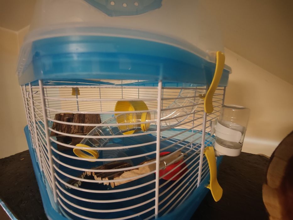 Cusca hamster 2 nivele