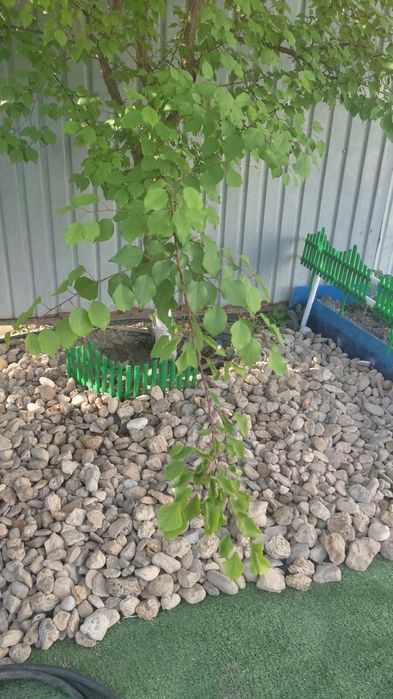 Щебень Отсев 10 000