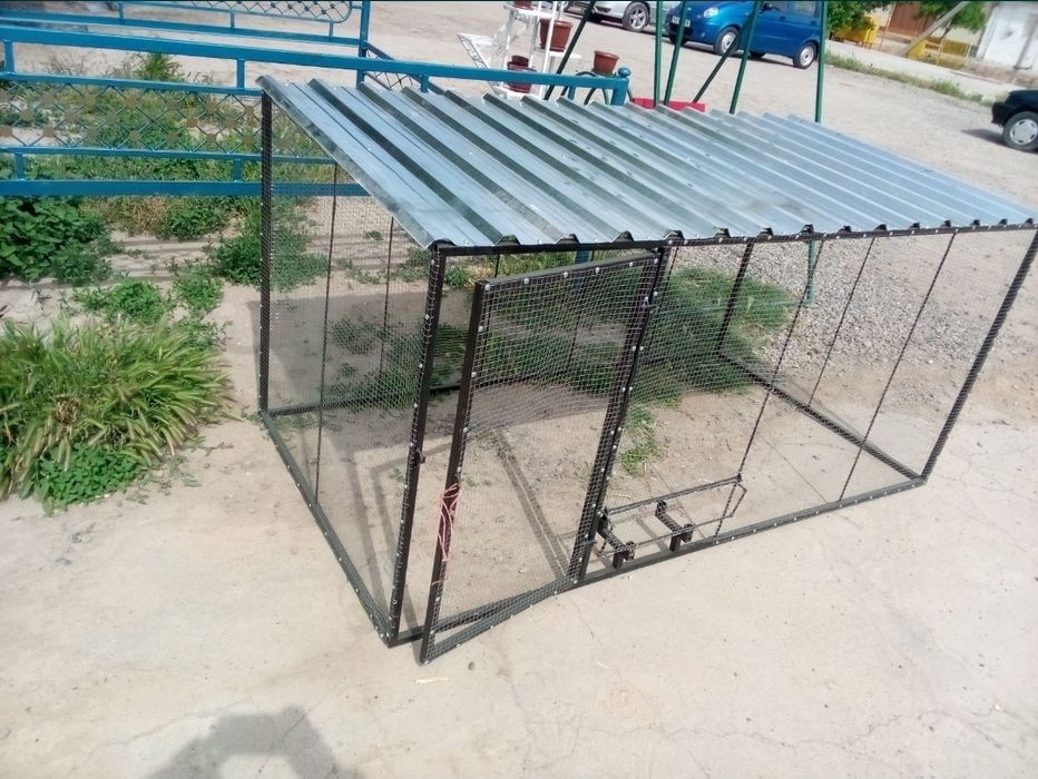 Tovuq katak zakazga yasab beramiz