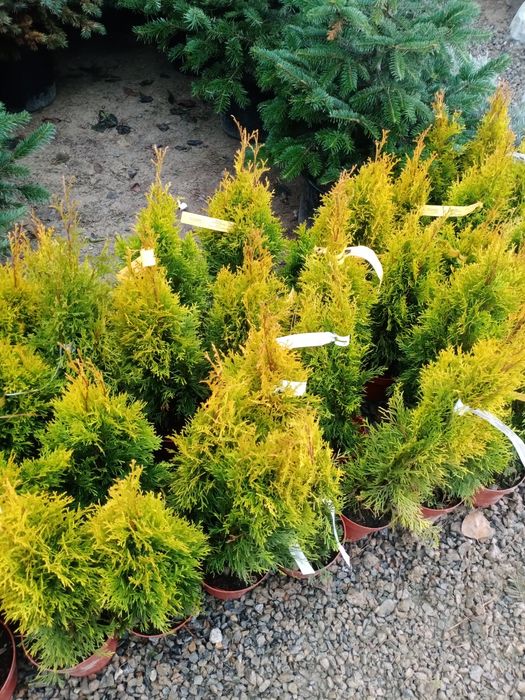 Гарантия качество