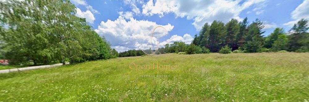 Продава се Парцел в Батак - 2616 кв.м за 55 €/кв.м - Снимка #4